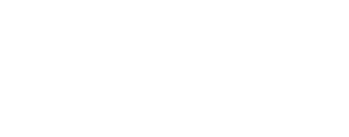Bonomi Logo